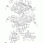 Royal Star Midnight Venture Картер