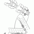 YZF 600R Клапана