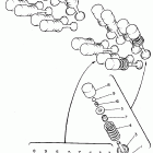 FZR600RGC/FZR600RG Клапана