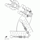 FZR600R Клапана