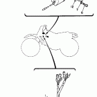 RT 100 Электрика 1