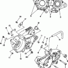 WR500ZD Картер