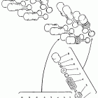 FZR 600RD Клапана