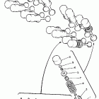 FZR 400 Клапана