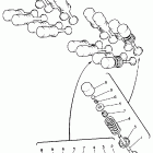 FZR 600RA Клапана