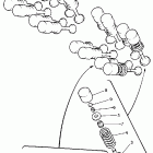FZR 600R Клапана