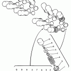 FZR600R Клапана
