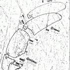 TM250 1972-1975 Заднее крыло