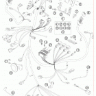 990 SUPER DUKE ORANGE USA CHASSIS Жгут проводов