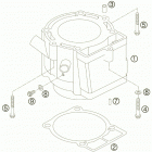 450 EXC-G RACING USA ENGINE Цилиндр
