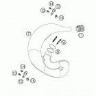 250 SX Exhaust pipe 250