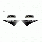 50 MINI ADVENTURE GS Decal 50 gs