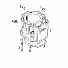 620 SUPER COMPETITION, 620 SC SUPERMOTO ENGINE Zylinder cylinder 620