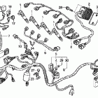 CBR600F4 Wire harness ('04-'05)