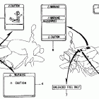 NS50F Лейбл предостережения
