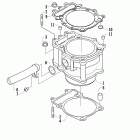Prowler XTX Блок цилиндров