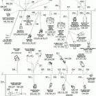 Traxter 5 Speed Проводка ,рама