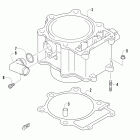 700 EFI FIS Блок цилиндров