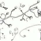 DVX 250 Electrical and wiring harness assembly