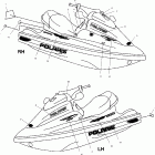 W025099I INT'L GENESIS Decals - w025099d / w025099i
