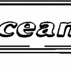J200PLSSC Elec. Start, TNT, 20 IN. shaft Accessory transom plate - optional