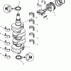 115 EFI (4-STROKE) 1B227000 THRU 1B366822 Коленчатый вал, поршни и шатуны