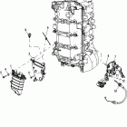 100 EFI (4-STROKE) 1B366823 & Up Fuel supply module mounting