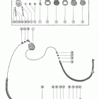 500 2742142 THRU 7051982 Топливный насос