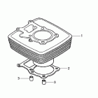 TRX250TM Цилиндр