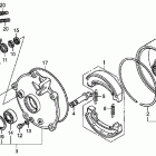 TRX250TM Rear brake drum