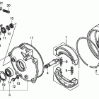 TRX250X Rear brake drum