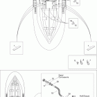 Sportster LE DI 09- lower hull