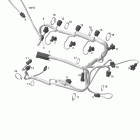 Sportster 4-TEC, Edition 1 10- engine harness 1