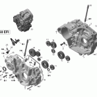 DS 450 EFI Картер