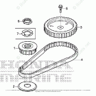 BF8DK3 SHA Timing Belt