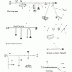 800 SWITCHBACK ASSAULT ALL OPTIONS -S12CL8/CW8 Пучок проводов