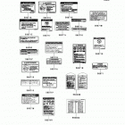 Brute Force 300 (KVF300-CDF) Labels(cn)