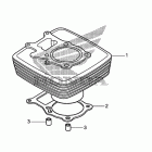TRX250TE Цилиндр