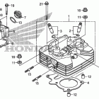 TRX250X Головка цилиндра