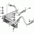 TRX250X Масляный картер