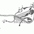 TRX250TM Wire harness (trx250tm)