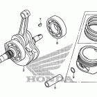 TRX250TE Коленчатый вал и поршень