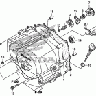 TRX250TM Front crankcase cover    (trx250tm)