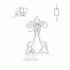 YFZ450R YFZ45RBW/YFZ45RBL Наклейки 1