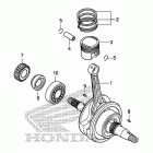 CRF150F Коленчатый вал и поршни