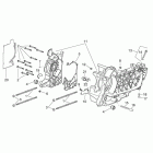 Atlantic 125-200-250 Картер