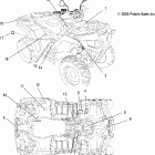 HAWKEYE 2X4/4X4 INTERNATIONAL - A06LB27FA Наклейки
