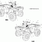 SPORTSMAN 400 - A04CH42AQ Наклейки