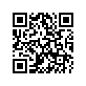 00031105000 Washer