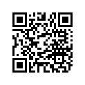 00031106000 Washer